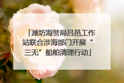 潍坊海警局昌邑工作站联合涉海部门开展“三无”船舶清理行动